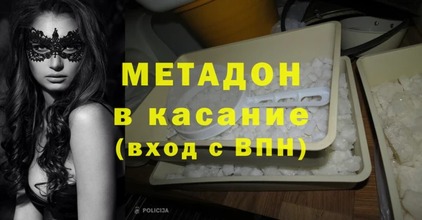 прущие грибы Абинск
