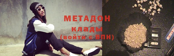 прущие грибы Абинск
