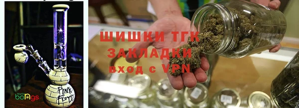 прущие грибы Абинск