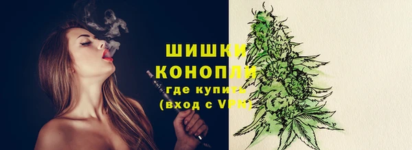 прущие грибы Абинск
