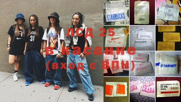 прущие грибы Абинск