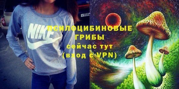 ешки Новодвинск