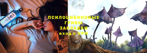 ешки Новодвинск
